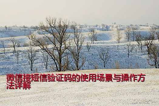 微信接短信验证码的使用场景与操作方法详解