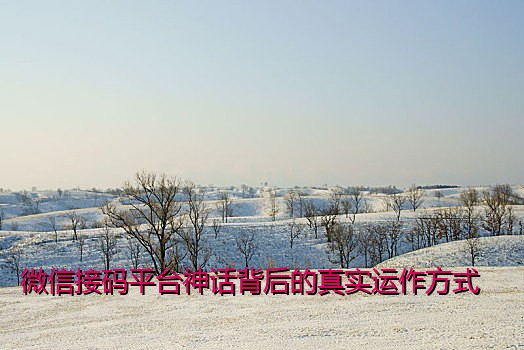 微信接码平台神话背后的真实运作方式