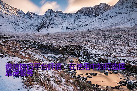 微信接码平台評價：在使用中如何选择靠谱服务