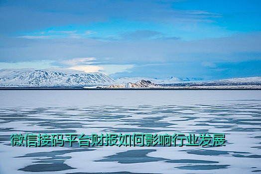 微信接码平台财报如何影响行业发展