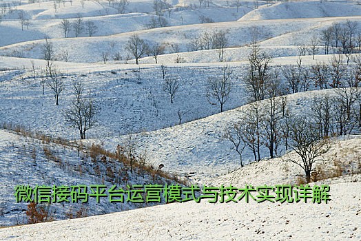 微信接码平台运营模式与技术实现详解