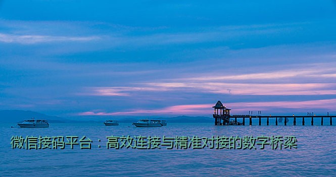 微信接码平台：高效连接与精准对接的数字桥梁