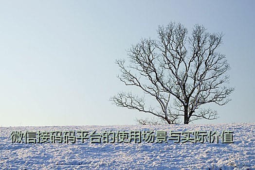 微信接码码平台的使用场景与实际价值