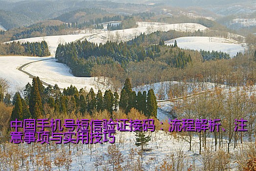 中国手机号短信验证接码：流程解析、注意事项与实用技巧