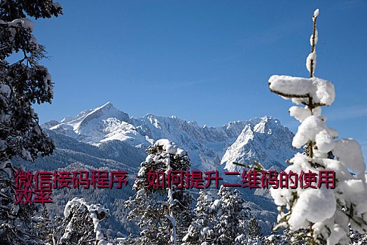微信接码程序：如何提升二维码的使用效率