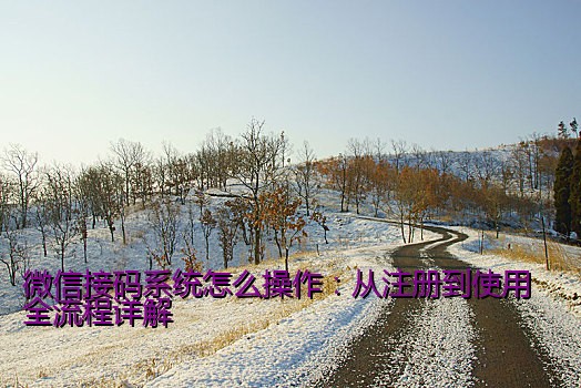 微信接码系统怎么操作：从注册到使用全流程详解