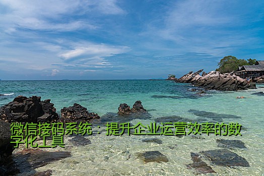 微信接码系统：提升企业运营效率的数字化工具