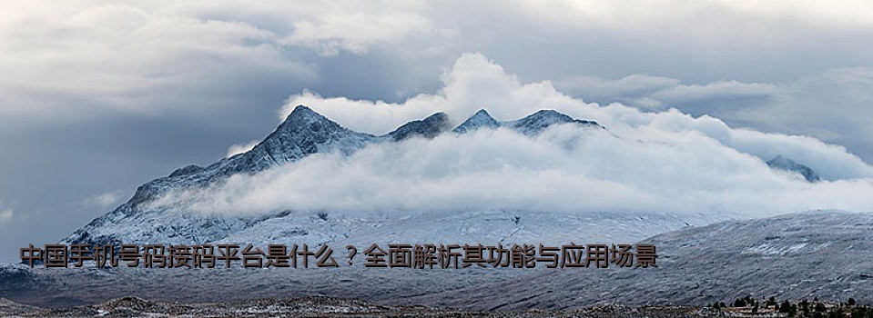 中国手机号码接码平台是什么？全面解析其功能与应用场景