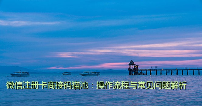 微信注册卡商接码猫池：操作流程与常见问题解析
