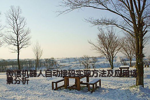 微信机器人自动接码实现方法及应用场景分析