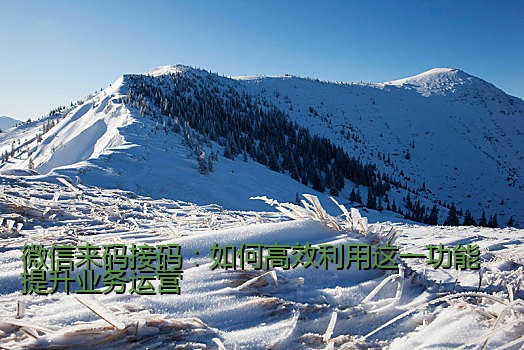 微信来码接码：如何高效利用这一功能提升业务运营