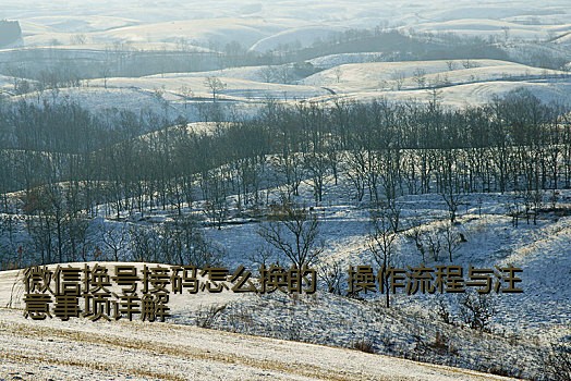微信是否支持接码平台？全面解析与使用建议