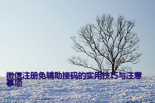 微信注册免辅助接码的实用技巧与注意事项