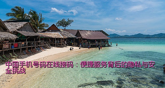 中国手机号码在线接码：便捷服务背后的隐私与安全挑战