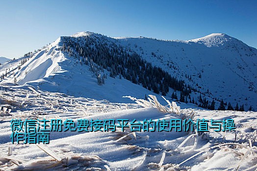 微信注册免费接码平台的使用价值与操作指南