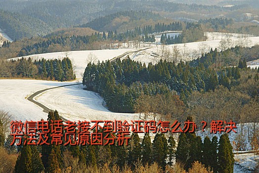 微信电话老接不到验证码怎么办？解决方法及常见原因分析