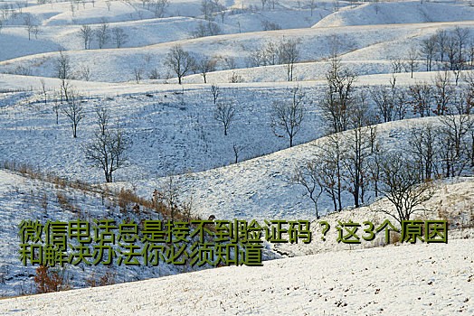 微信电话总是接不到验证码？这3个原因和解决办法你必须知道