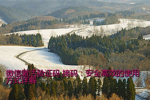 微信激活验证码 接码：安全高效的使用方式详解