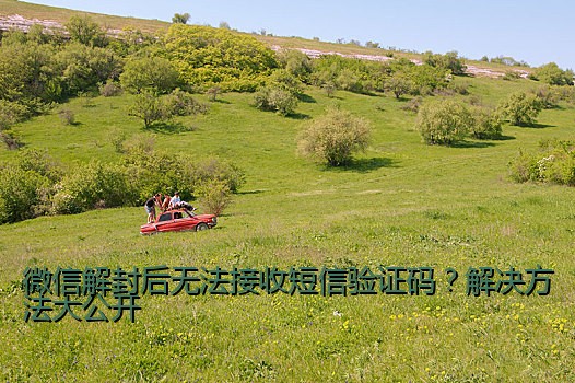 微信解封后无法接收短信验证码？解决方法大公开