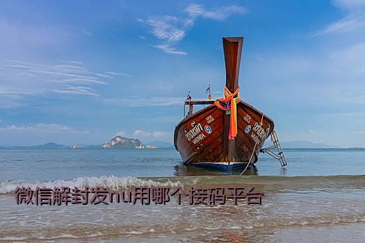微信解封发nu用哪个接码平台
