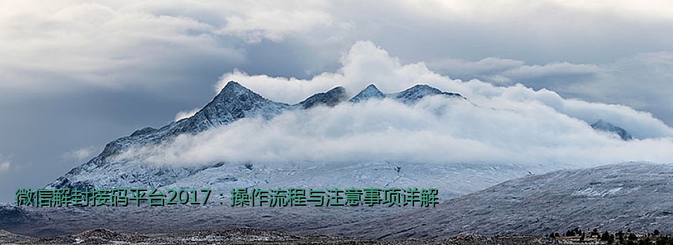 微信解封接码平台2017：操作流程与注意事项详解