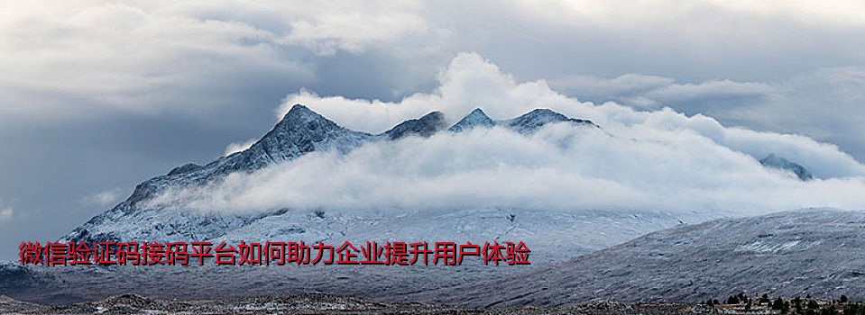 微信验证码接码平台如何助力企业提升用户体验