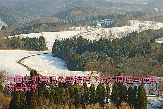 中国手机号码免费接码：技术原理与使用场景解析