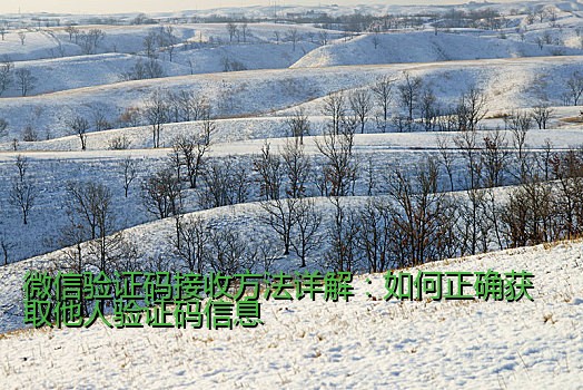 微信验证码接收方法详解：如何正确获取他人验证码信息