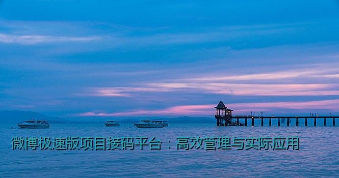 微博极速版项目接码平台：高效管理与实际应用