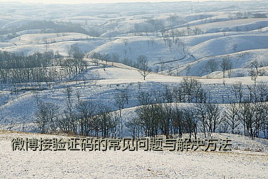 微博接验证码的常见问题与解决方法