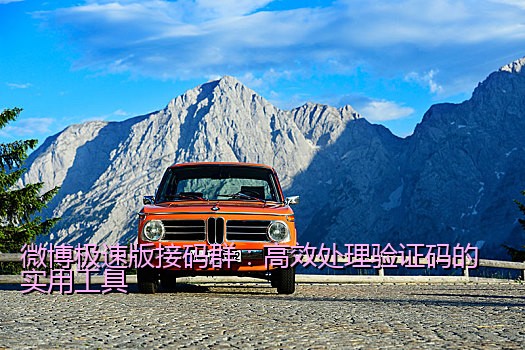 微博极速版接码群：高效处理验证码的实用工具