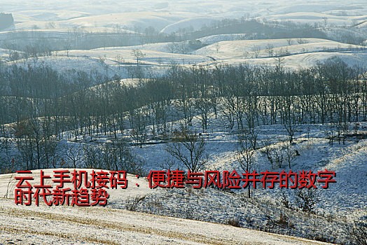 云上手机接码：便捷与风险并存的数字时代新趋势