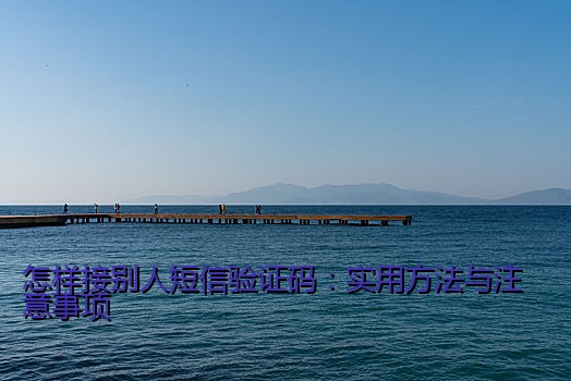 怎样接别人短信验证码：实用方法与注意事项