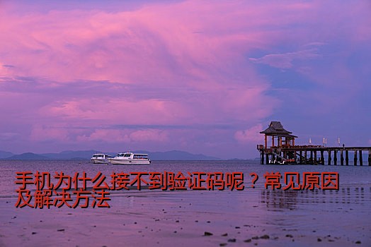 手机免费信息接码：如何高效获取精准信息