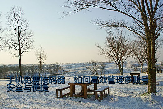 手机免费接码器：如何高效管理多账号安全与便捷