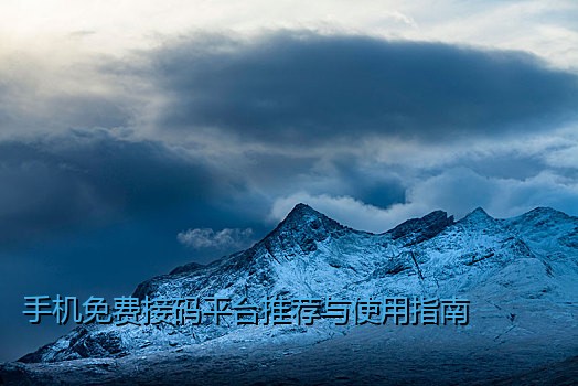 手机免费接码平台推荐与使用指南