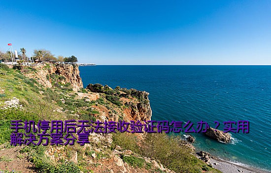 手机停用后无法接收验证码怎么办？实用解决方案分享