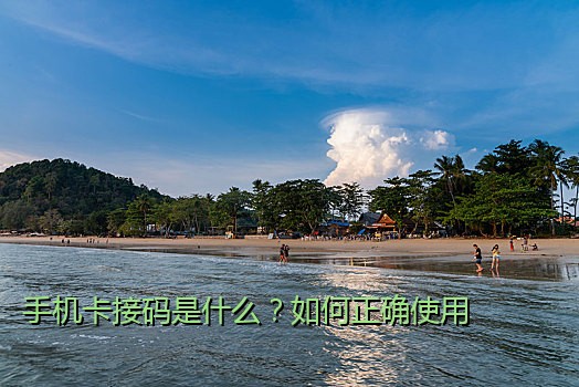 手机卡接码是什么？如何正确使用