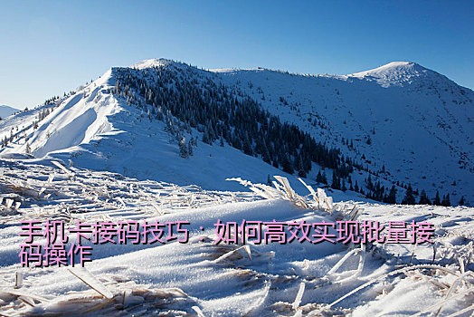 手机卡接码技巧：如何高效实现批量接码操作