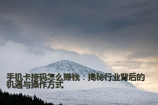 手机卡接码怎么赚钱：揭秘行业背后的机遇与操作方式
