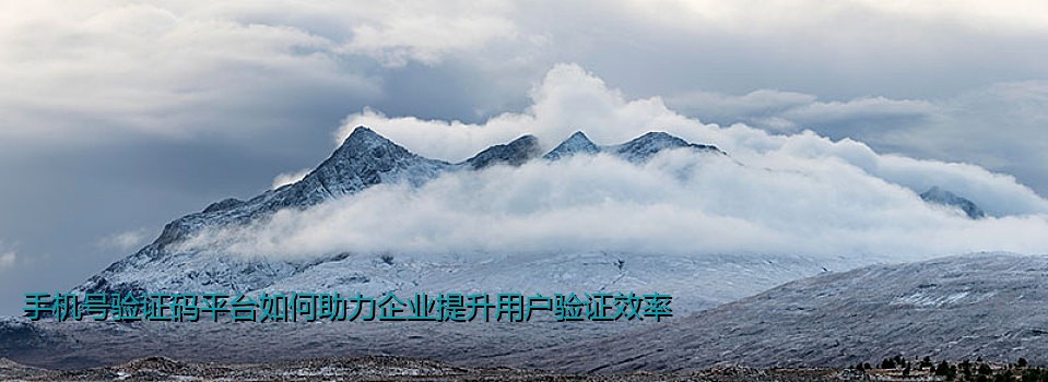 手机号验证码平台如何助力企业提升用户验证效率