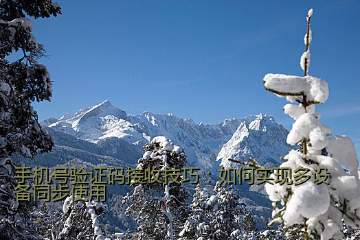 手机号验证码接收技巧：如何实现多设备同步使用