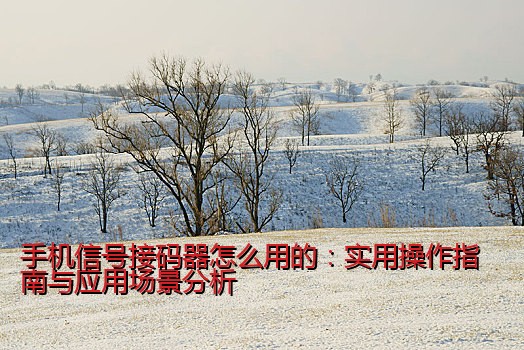 手机号频繁接收验证码，可能是有他人在使用你的号码