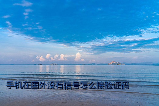 手机在国外没有信号怎么接验证码