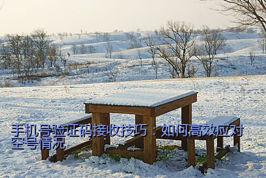手机号验证码接收技巧：如何高效应对空号情况