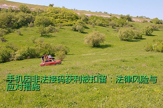 手机因非法接码获利被扣留：法律风险与应对措施