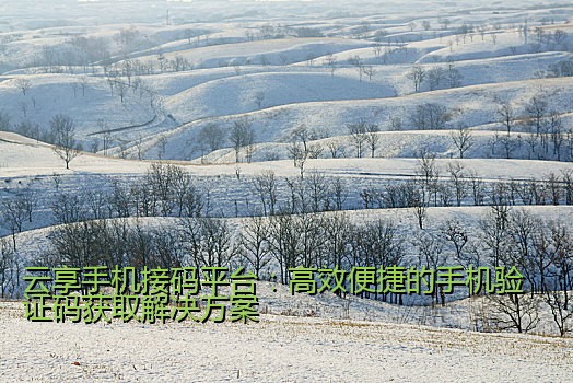 云享手机接码平台：高效便捷的手机验证码获取解决方案