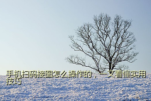 手机扫码接图怎么操作的，一文看懂实用技巧