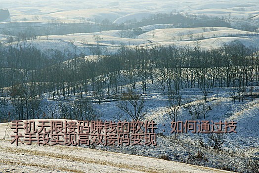 手机无限接码赚钱的软件：如何通过技术手段实现高效接码变现