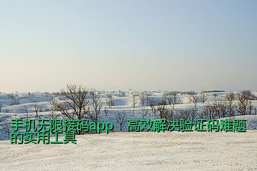 手机无限接码app：高效解决验证码难题的实用工具